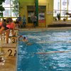 2018.11.19 - Powiatowe mistrzostwa w pływaniu