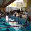 2019.11.08 - Powiatowe mistrzostwa w pływaniu